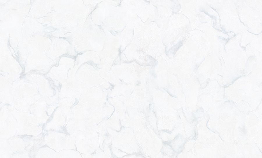 PL71980-11