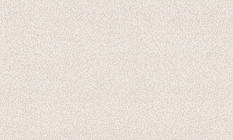 HC31151-21