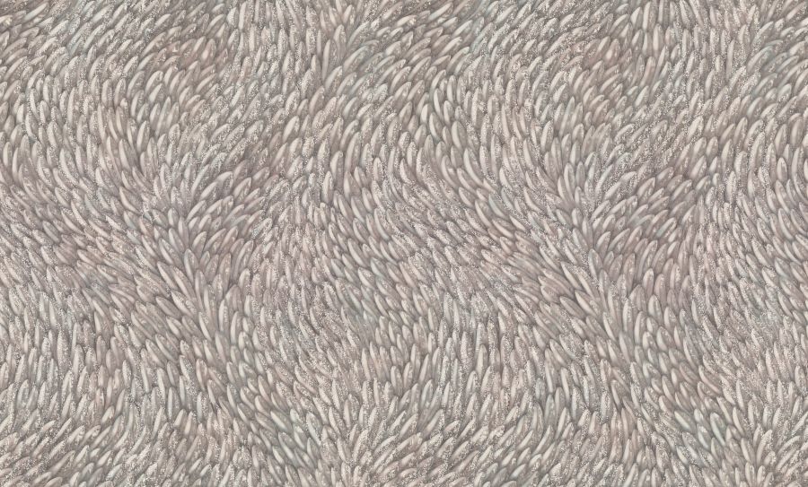 PC71761-28
