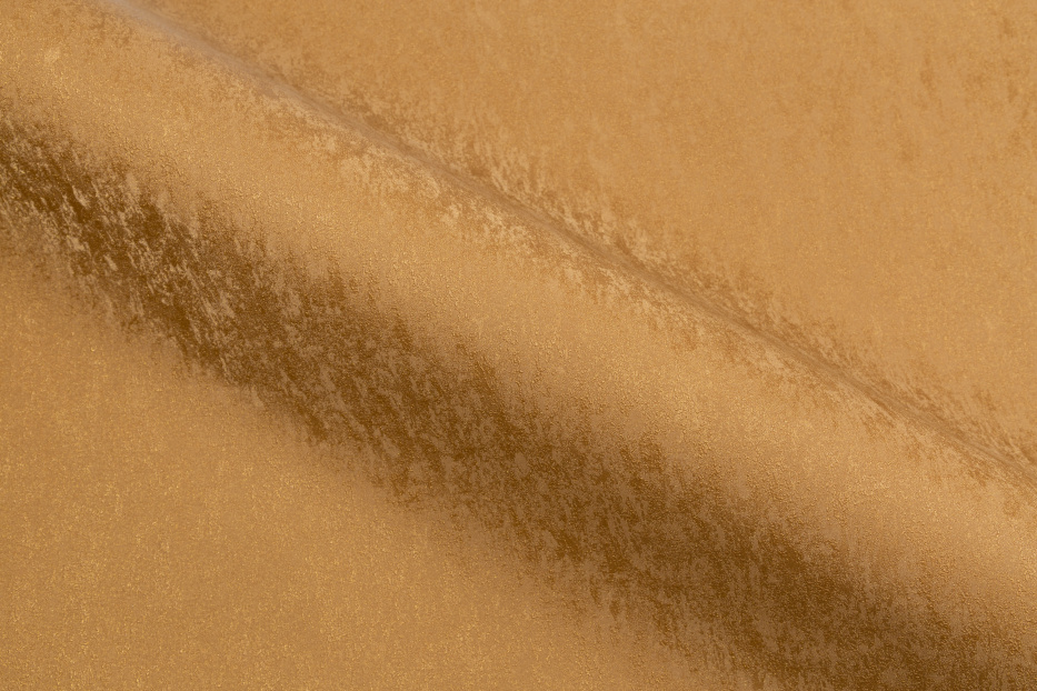 FM72098