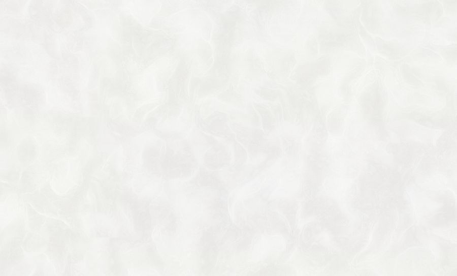 PP72194-41