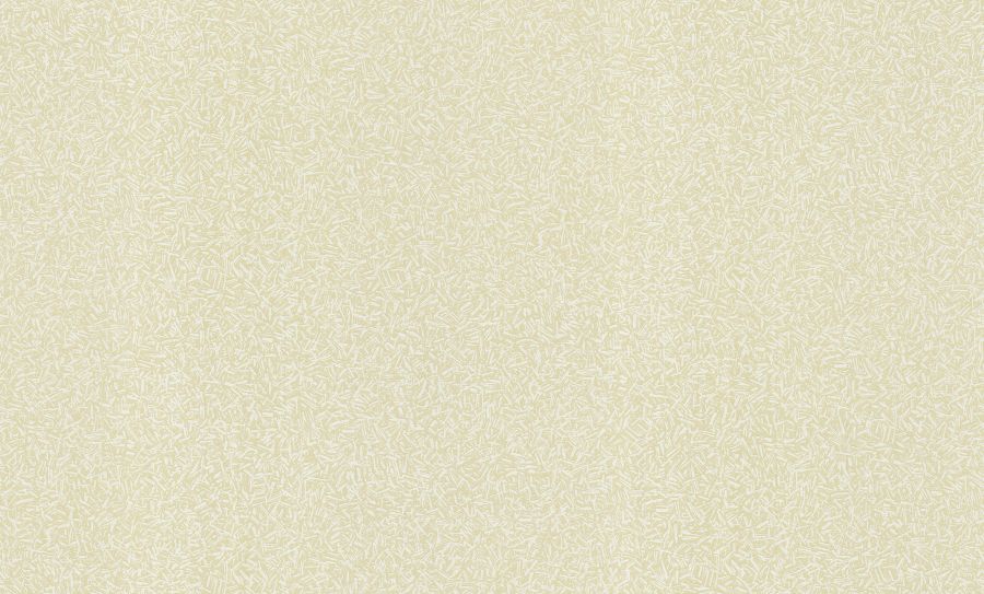 HC31078-17