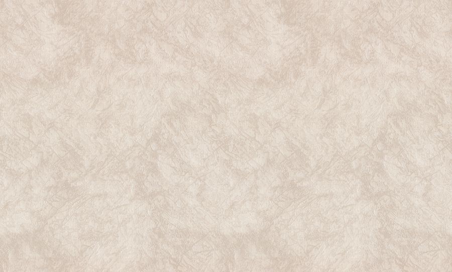 PP71881