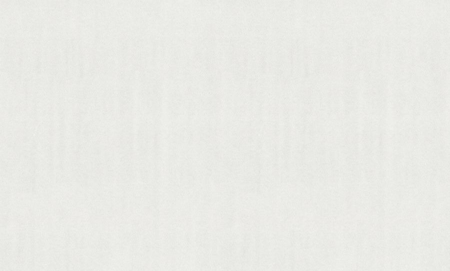 HC40008-01a